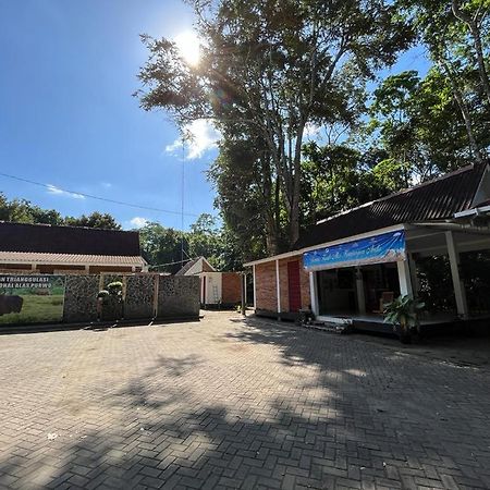 Capital O 92612 Penginapan D'Alas Purwo & Beachnearpadang Savana Sadengan Banyuwangi  Kültér fotó
